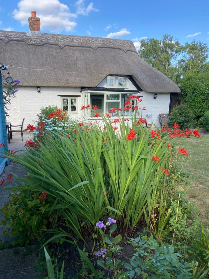 Thatch Cottage, East Boldre Nr Beaulieu And Lymington Brockenhurst Exteriér fotografie